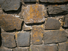 lišejníky na kamenné zdi